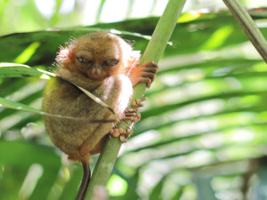 IMG_1110 - コピー