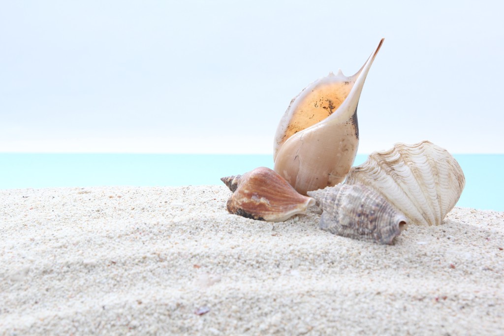 4eda8cbad396cdb6d7413829e654d247_l