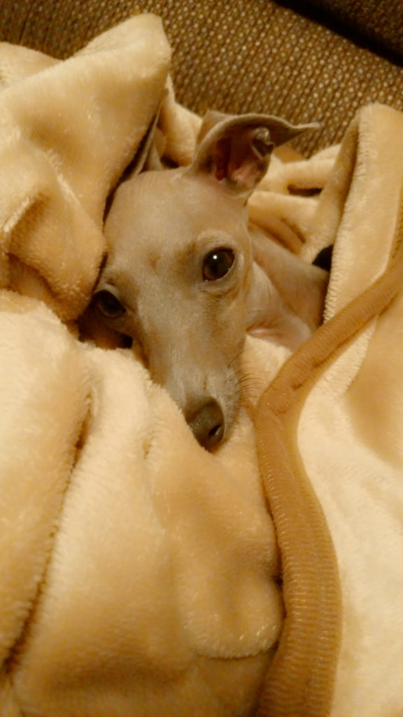 C360_2014-12-22-03-07-19-011